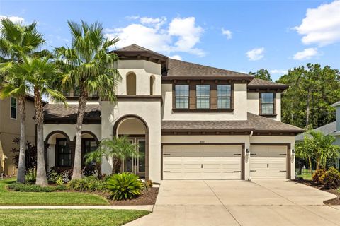 A home in LAND O LAKES