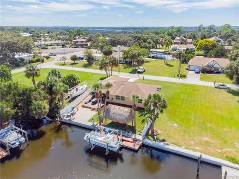 Tiny photo for 11691 W Sunnybrook Court, Crystal River, FL 34429 (MLS # OM706243)