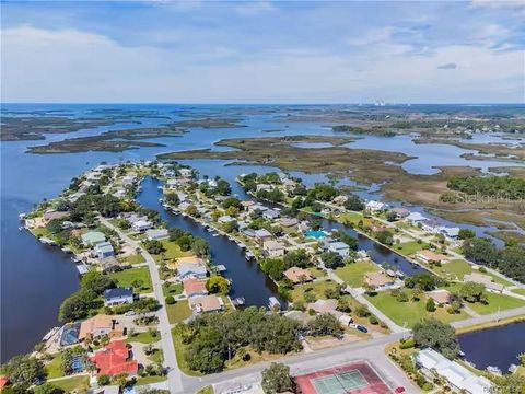 Tiny photo for 11691 W Sunnybrook Court, Crystal River, FL 34429 (MLS # OM706243)