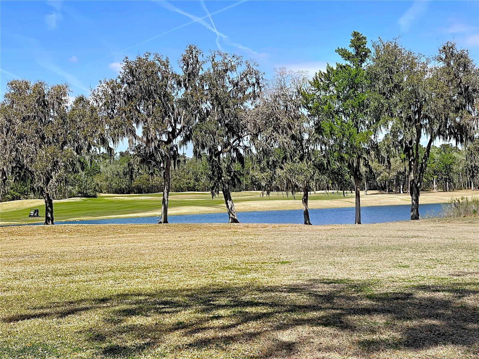 HERNANDO OAKS PH 2 - Residential