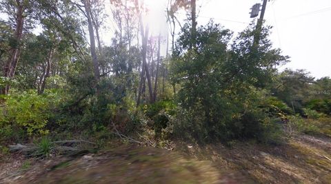 Tiny photo for 16800 Anna St, Cedar Key, FL 32625 (MLS # A4693360)