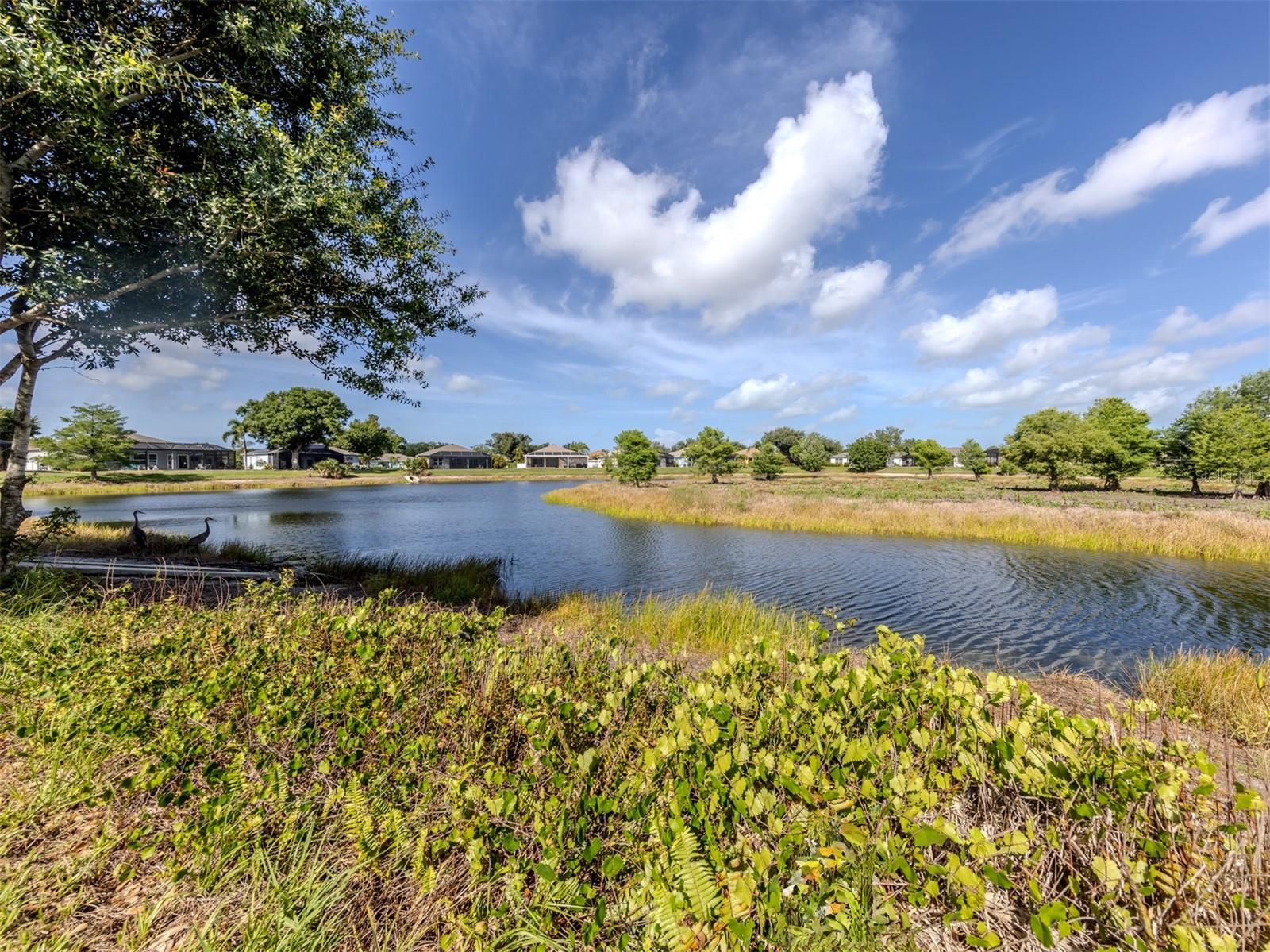 WOODMERE LAKES - Residential