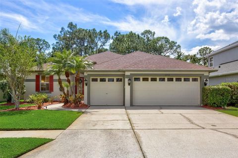 A home in TAMPA