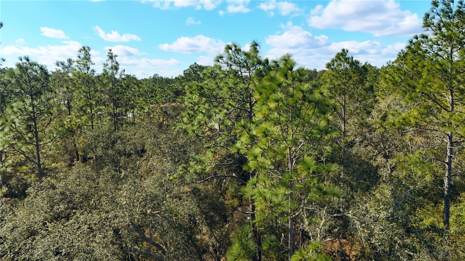 GREEN HLND PARK SUB - Land