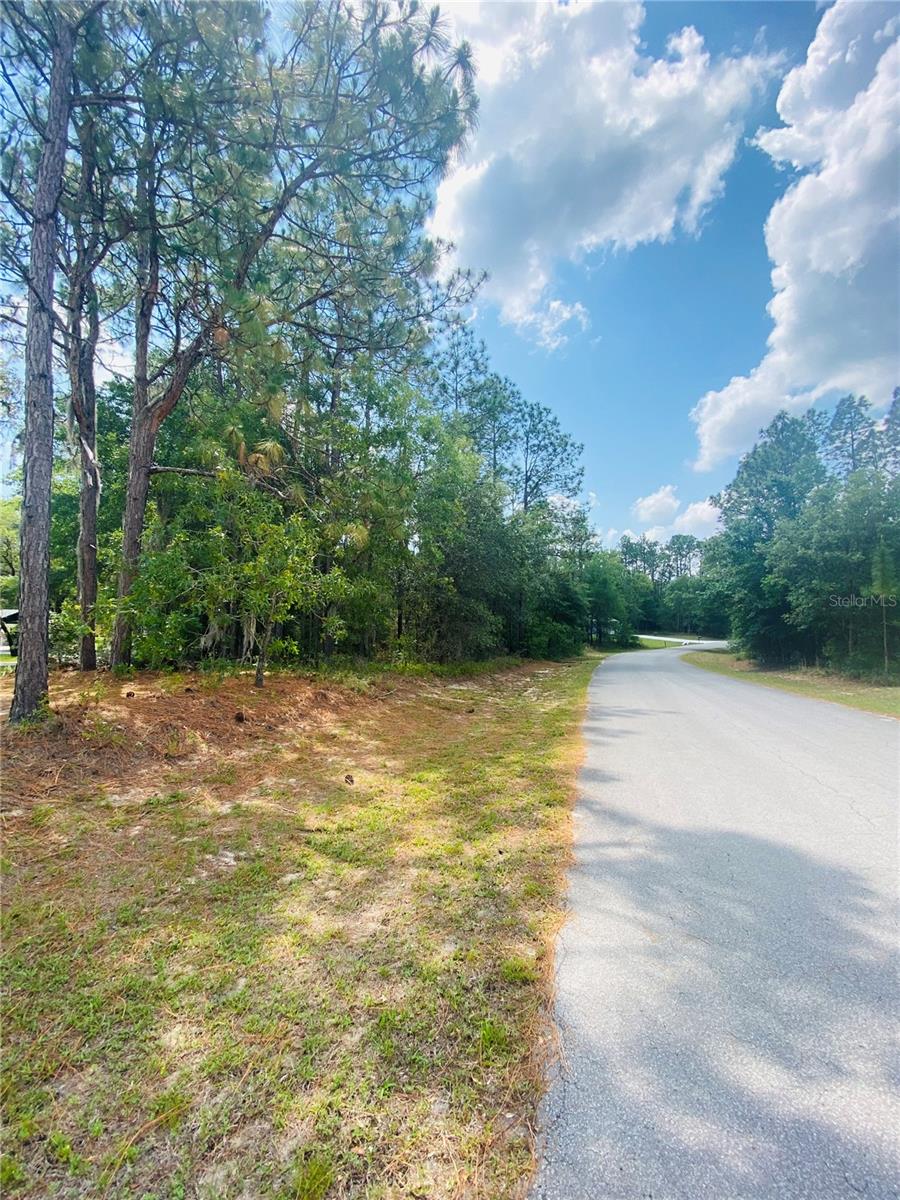 RAINBOW SPGS 01 - Land