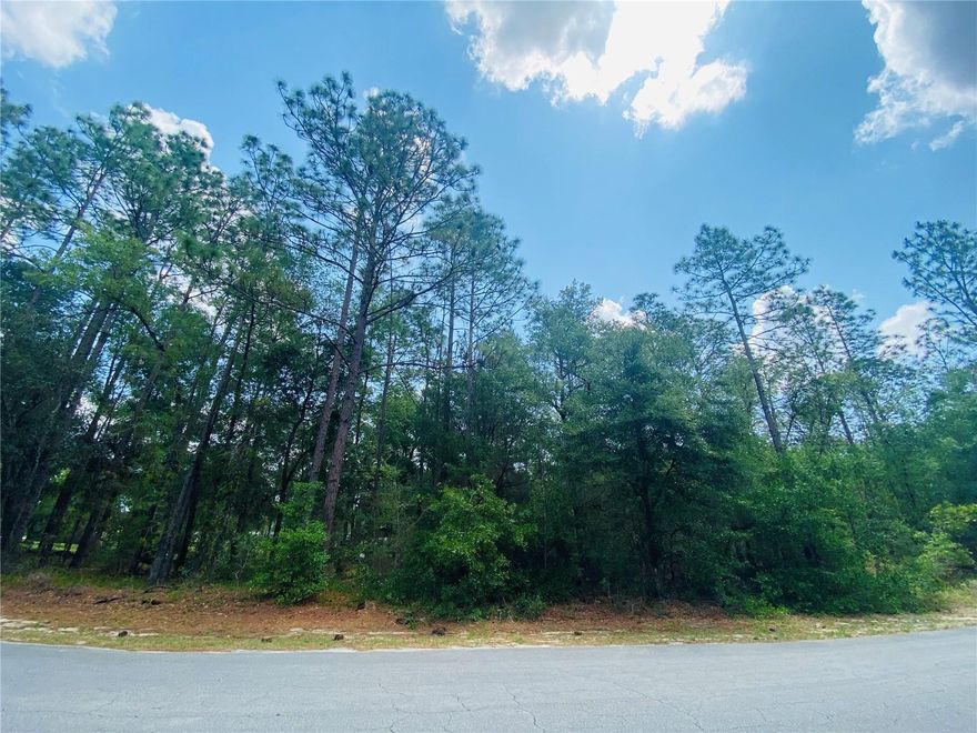 WELCOME TO THE WOODLANDS AT RAINBOW SPRINGS.  This desirable community features an oversized, buildable, corner lot in a very serene environment.  The 1.35 acre wooded parcel is a premium location and is an ideal setting for the home of your dreams.  Amenities include community swimming pool, clubhouse bocce ball, pickle ball, tennis, basketball, driving range, restaurant, disc golf and access to the 3-acre resident's only river park which is a 1,500 foot peaceful kayak or canoe paddle to the first magnitude Rainbow River State Park head springs.  The exclusive resident' only park has 2 large pavilions, barbecue grills, two bathrooms, outdoor shower, private swimming area and kayak/canoe launch.  Whether you are planning to build soon, or in the near future, this ideal location places you at the doorsteps of small town living.  Ocala is just a 30 minute drive and Gainesville is less that an hour.  Come see this beautiful lot and the community.