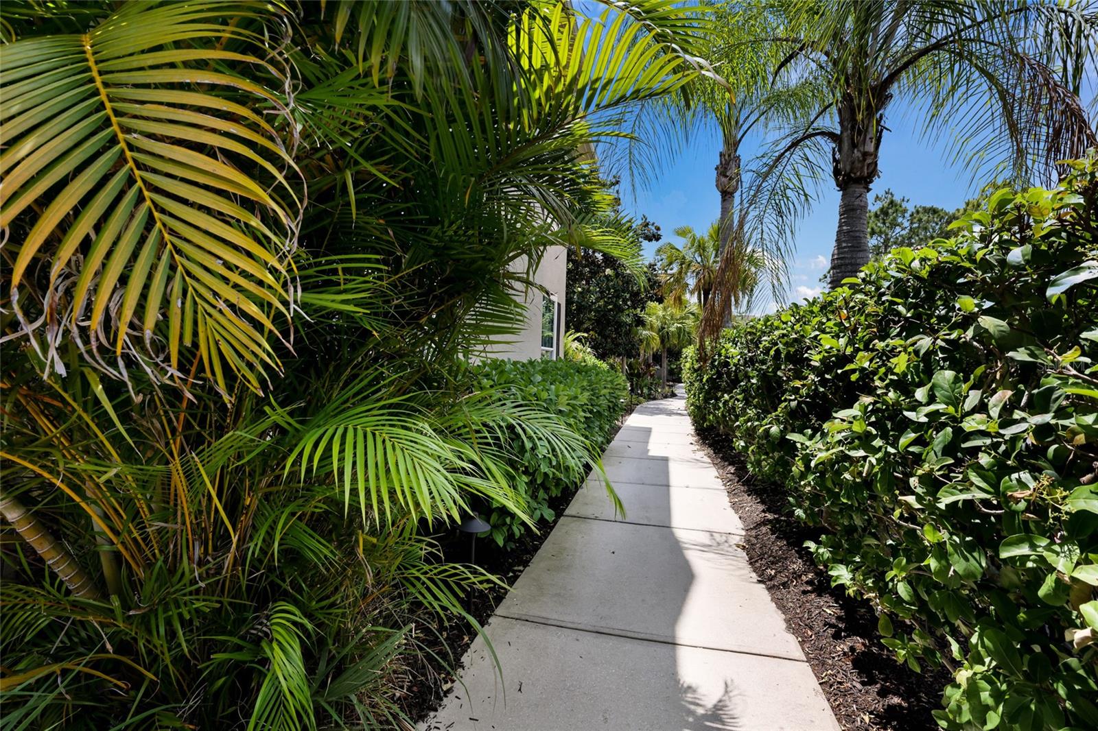 SAVANNAH PRESERVE AT UNIVERSITY PLACE - Residential