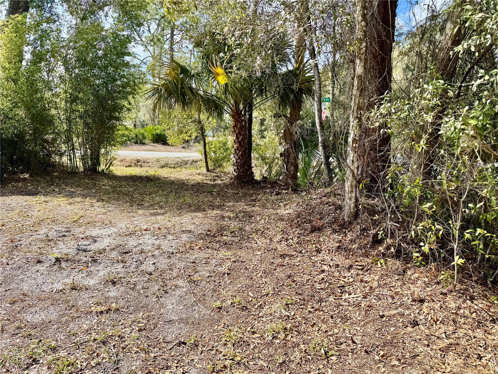 DAYTONA PARK ESTATES SEC A - Residential