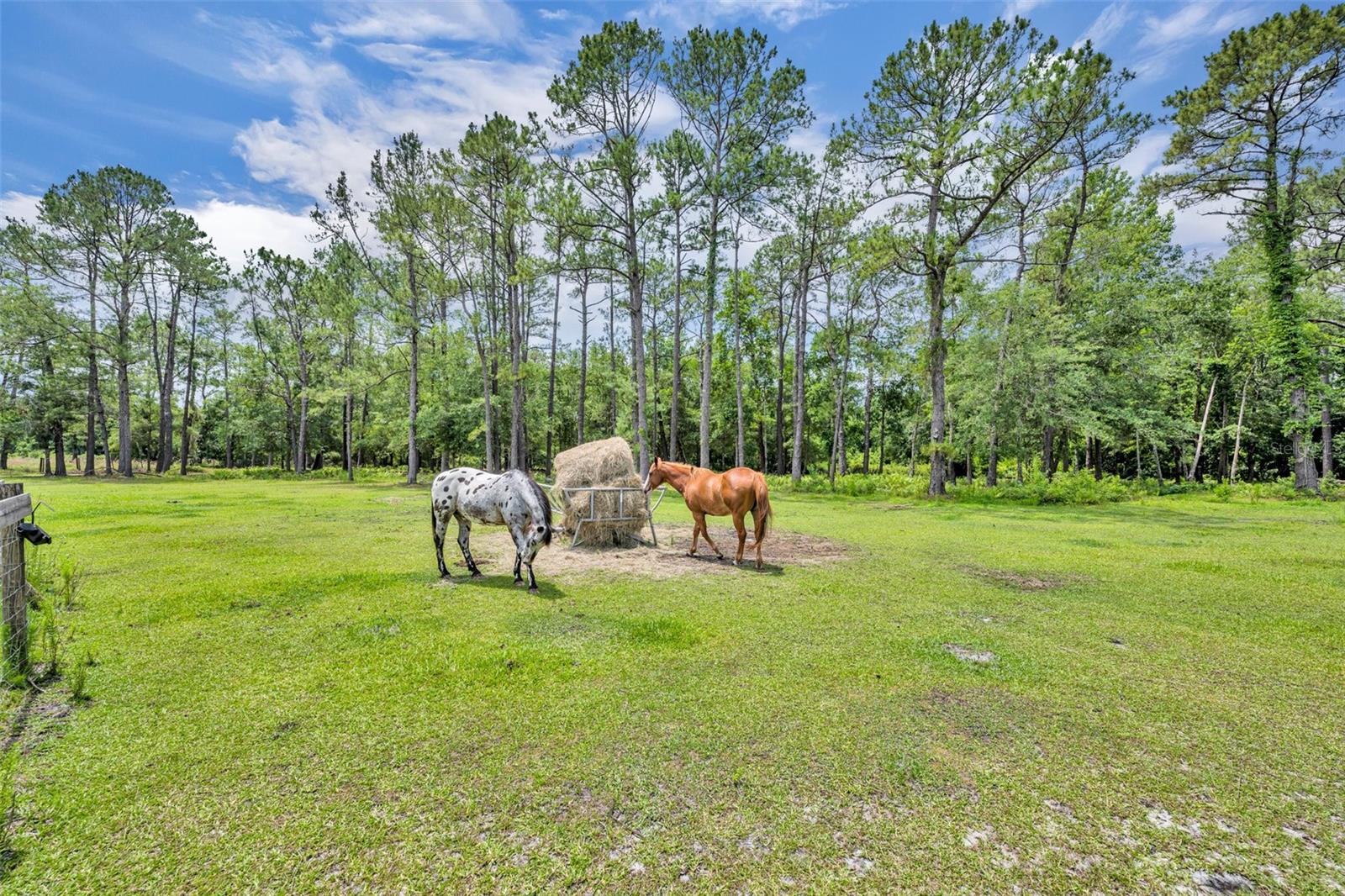 21320 PARADISE WAY
