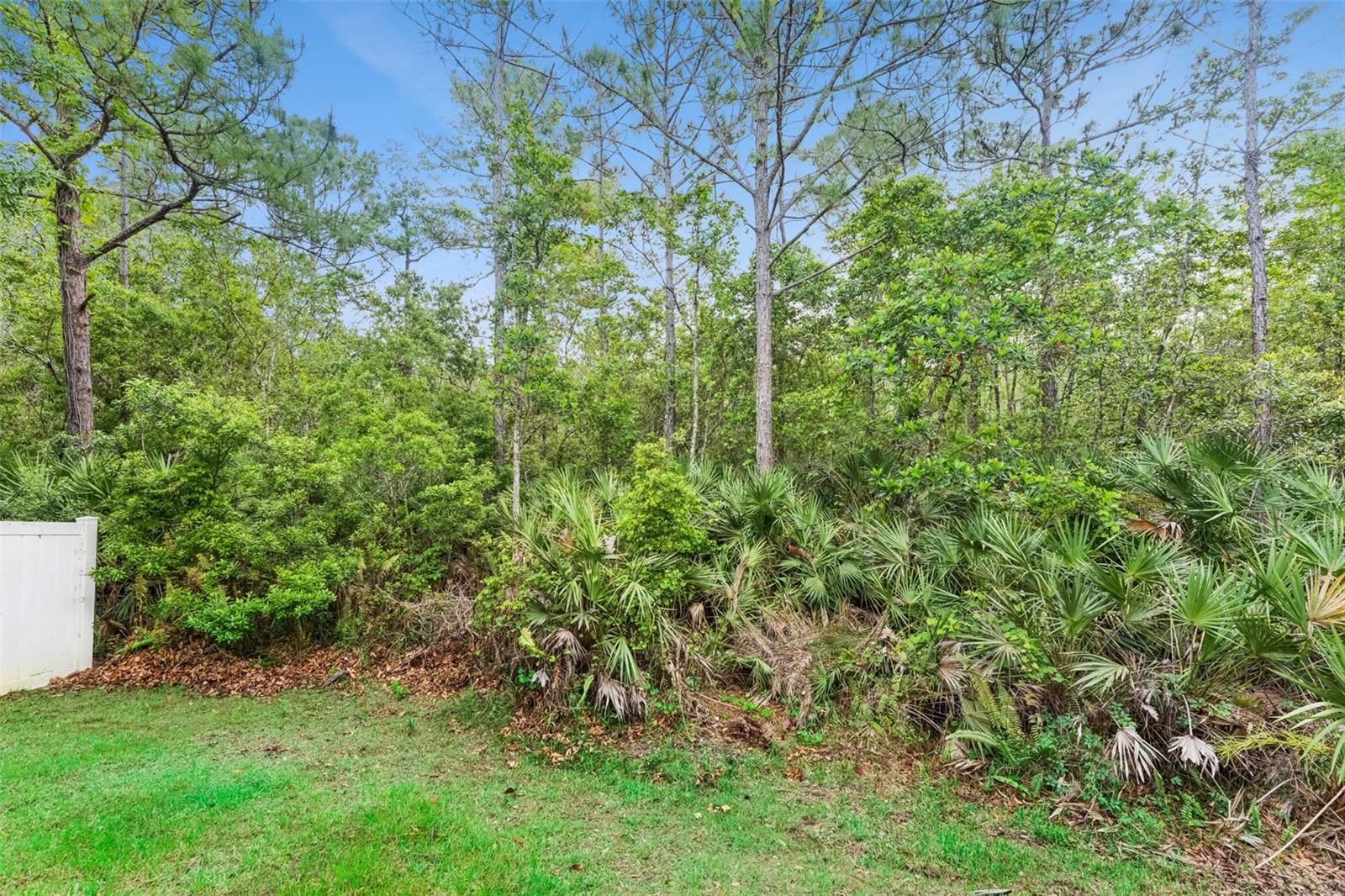 CYPRESS LAKES PARCELS D AND L - Residential