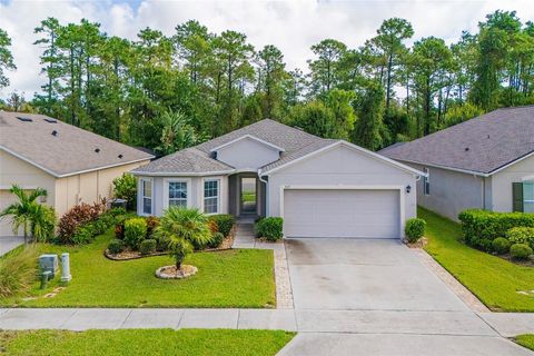 537 WHITE CORAL LANE NEW SMYRNA BEACH FL 32168