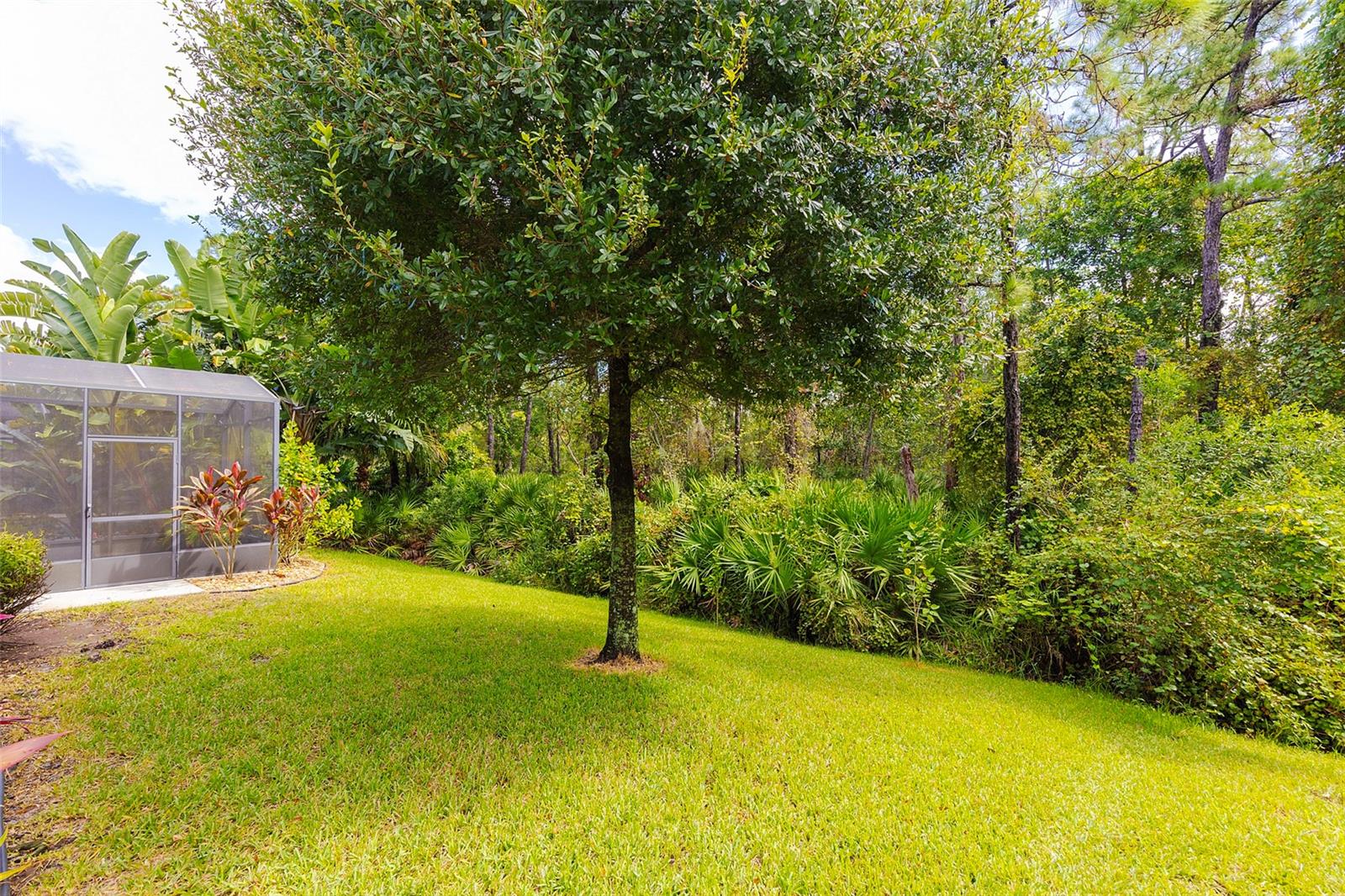 SABAL LAKES - Residential