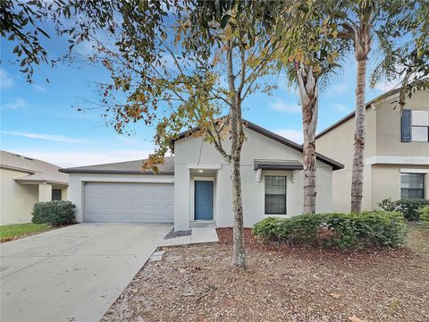 Photo of 10113 Rosemary Leaf Lane, Riverview, FL 33578 (MLS # O6370954)