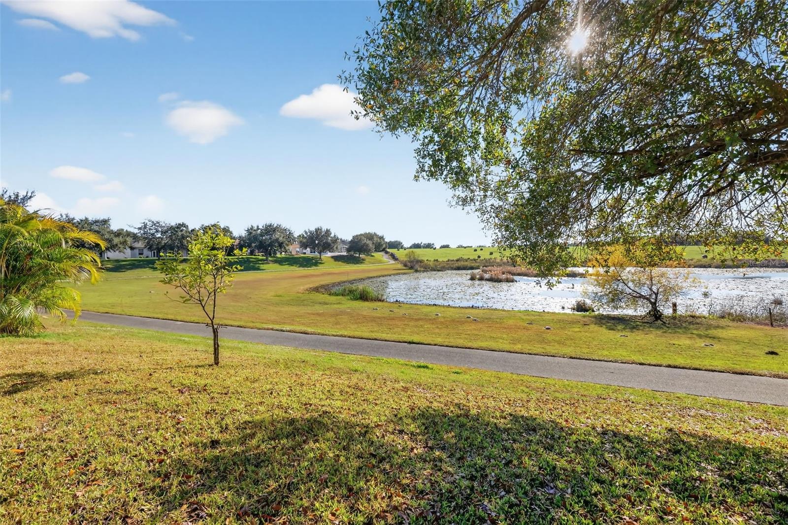 PLANTATION AT LEESBURG ASHLAND VILLAGE - Residential