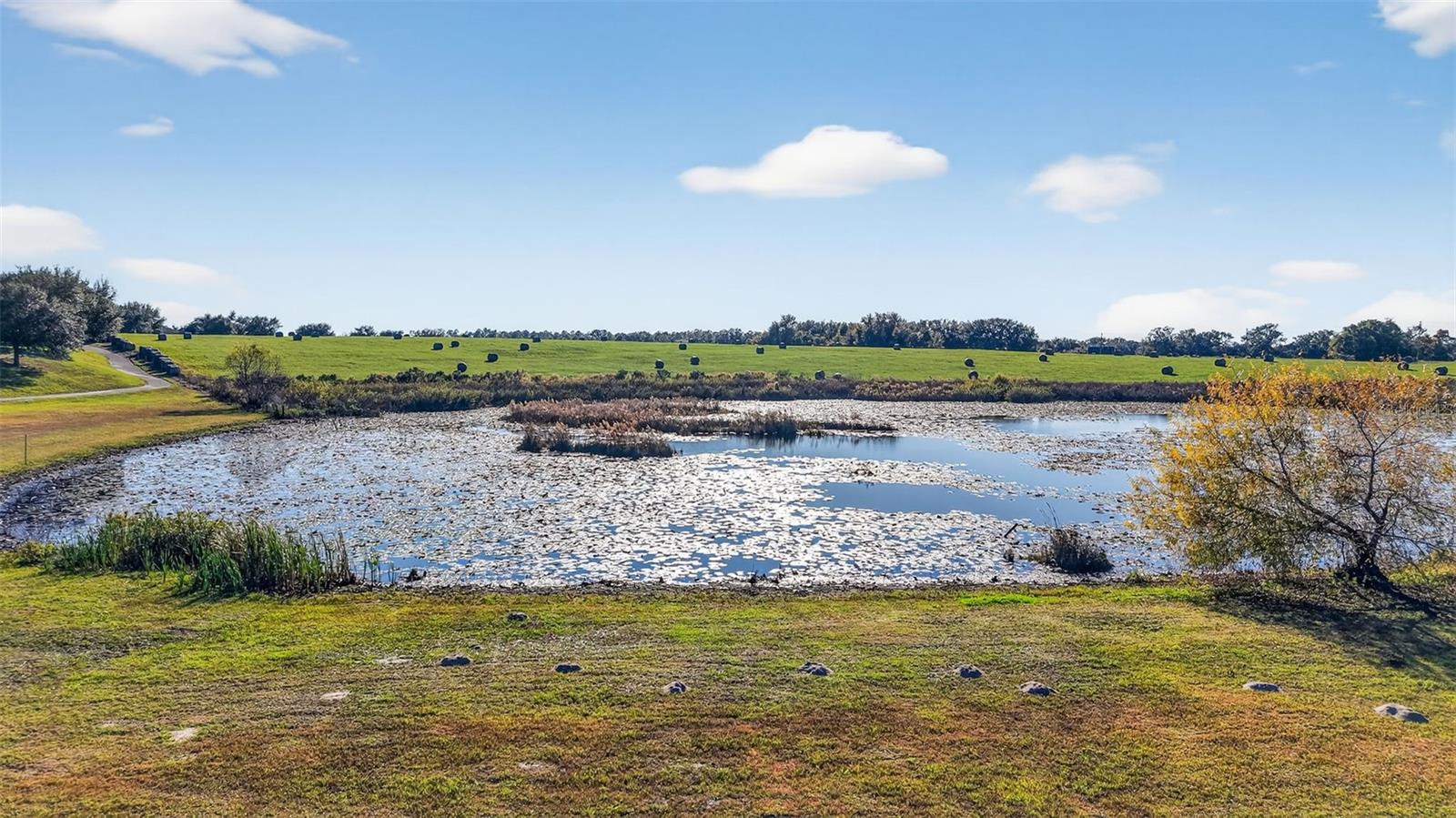 PLANTATION AT LEESBURG ASHLAND VILLAGE - Residential