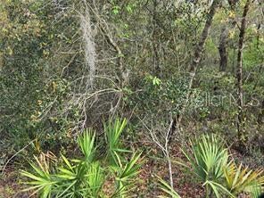 Photo of Cr 245d, Oxford, FL 34484 (MLS # G5116268)