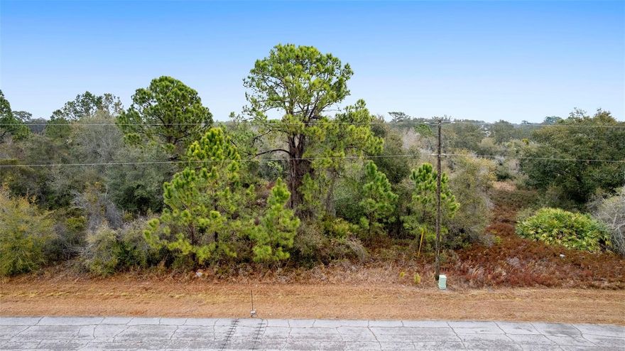 SPECIAL OPPORTUNITY located in the growing community of Poinciana! LOW HOA, NO CDD, NOT in a Flood Zone! Conveniently located close to many restaurants, Disney, great shopping choices, exceptional grocery stores, abundant medical facilities and schools. Convenient access to Expressway! This great location is centrally located with only an hour drive to the Florida Gulf Coast! Both Tampa and Orlando airports are centrally located which gives great choices when flying out! BRAND NEW homes are selling for over $300k. WON'T LAST LONG SO MAKE AN OFFER TODAY!
