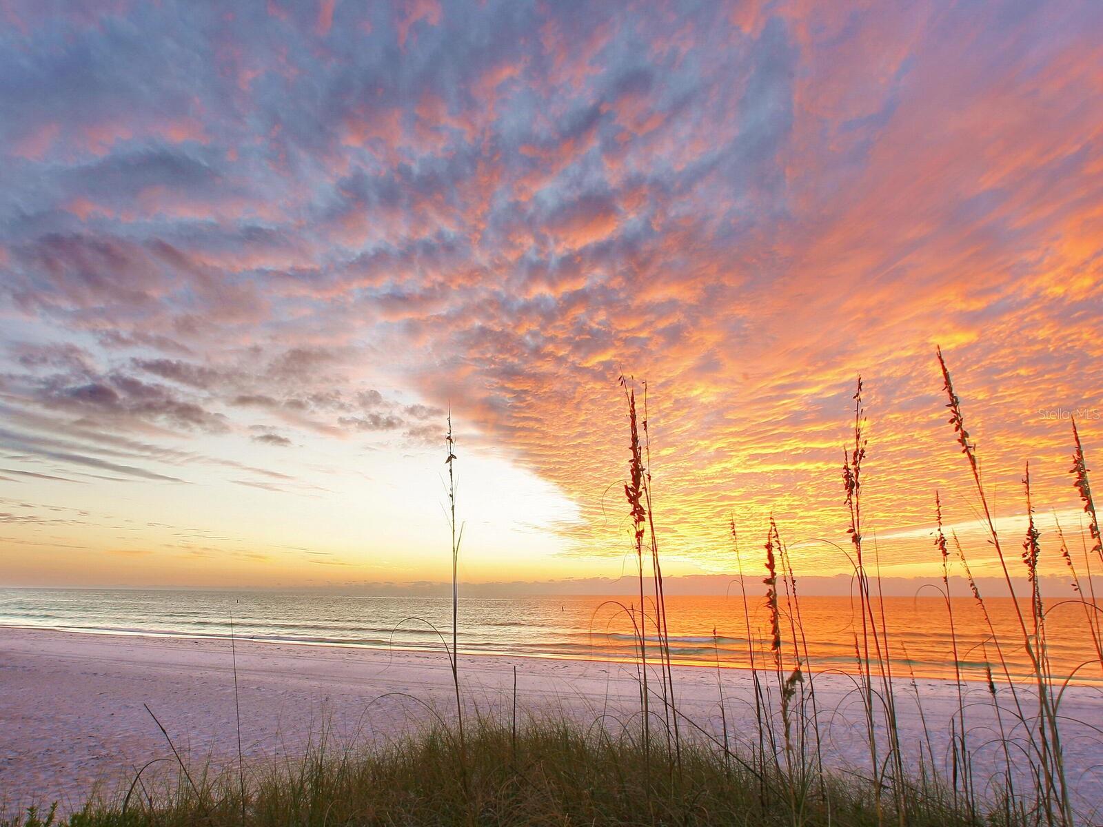 CASEY KEY - Residential