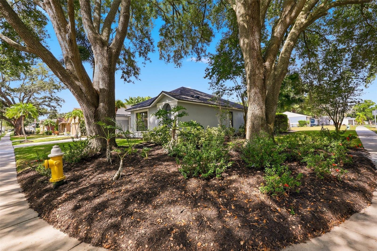3040 WINDRIDGE OAKS DRIVE