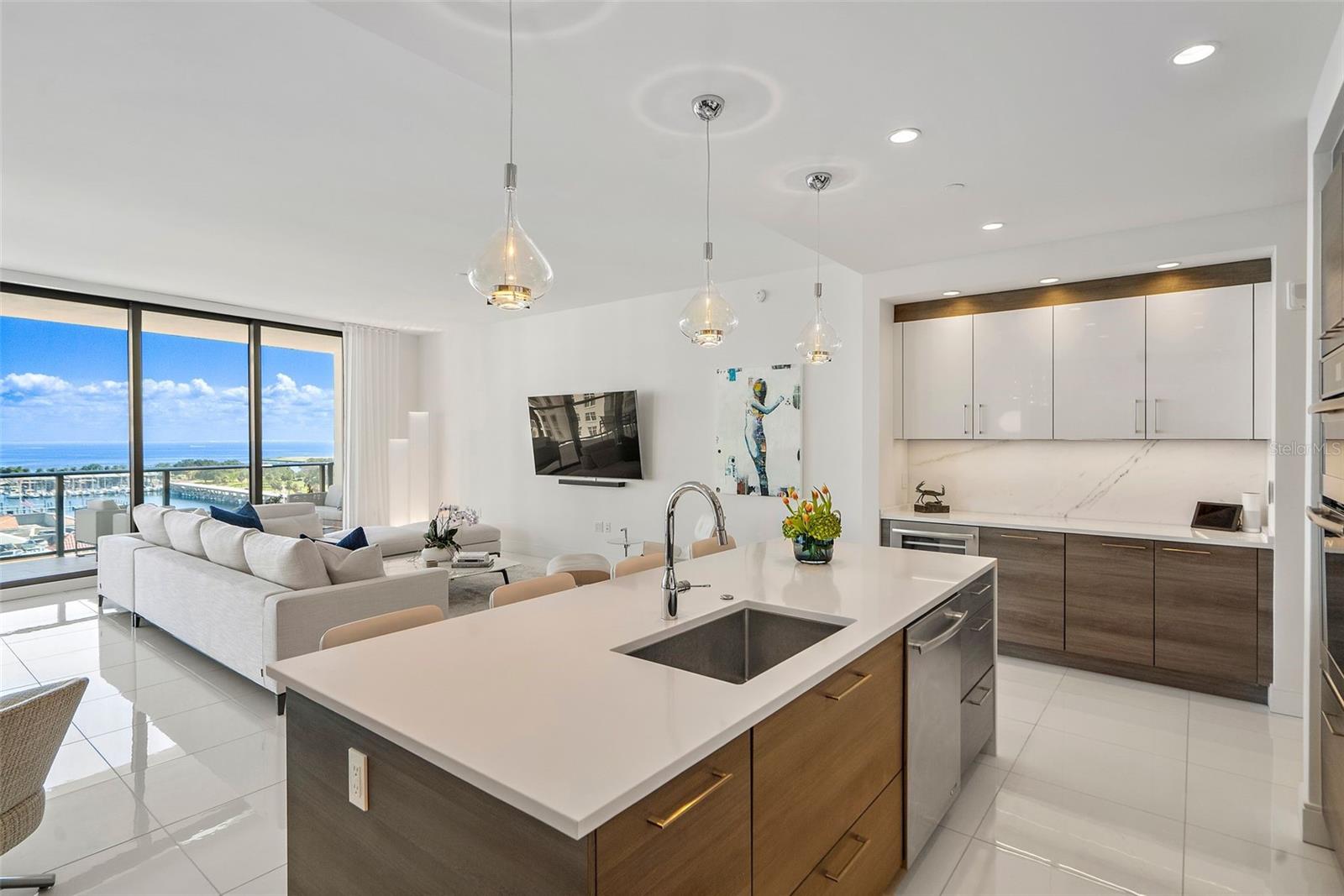 ONE ST. PETERSBURG - Residential