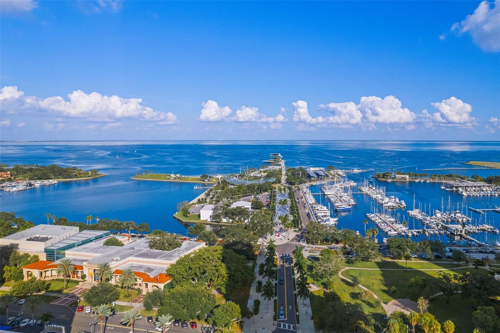 ONE ST. PETERSBURG - Residential