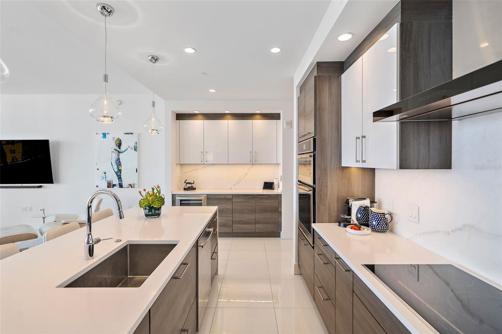 ONE ST. PETERSBURG - Residential