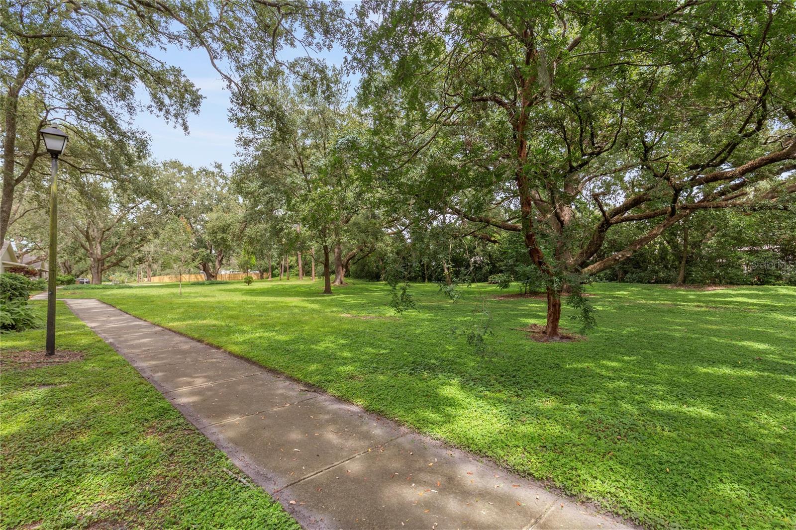 RAINTREE MANOR HOMES CONDOMINI - Residential