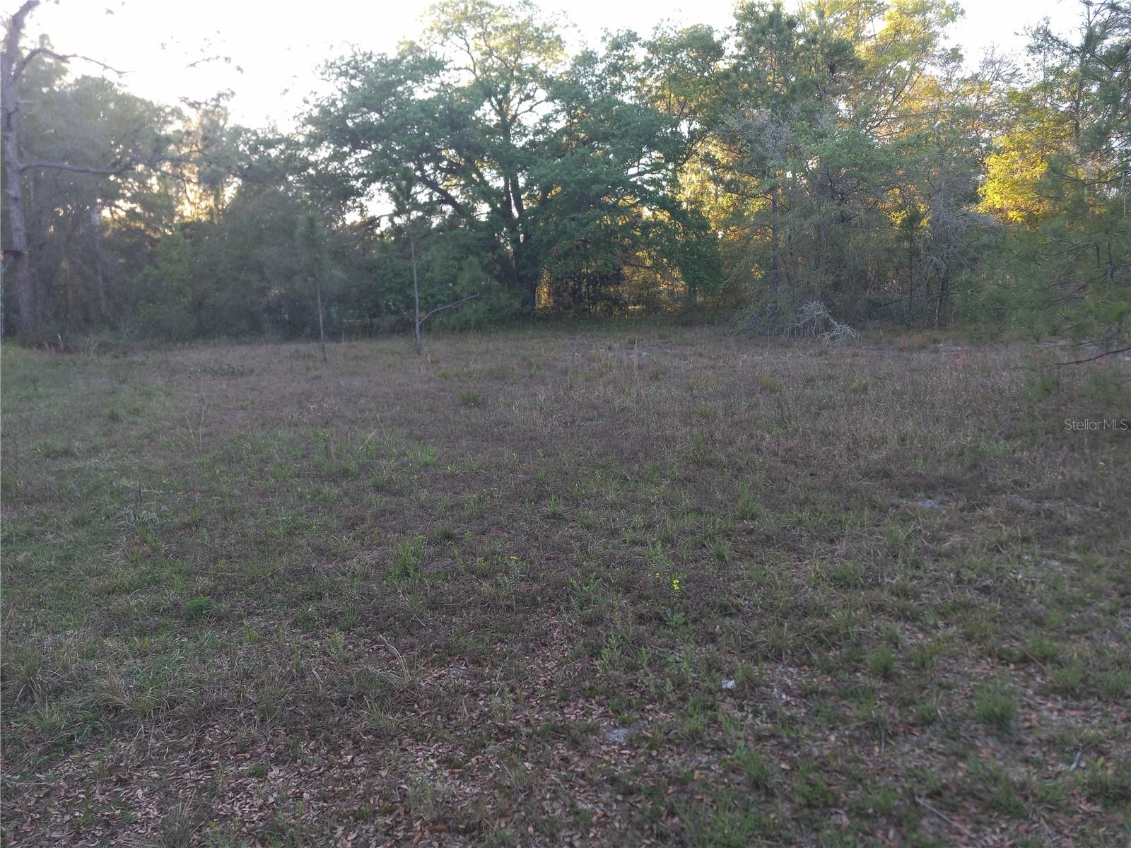 LARGE BUILDABLE LOT (.75) PARTIALLY CLEARED LOCATED IN THE BEAUTUFUL OCALA NATIONAL FOREST AND FORT MCCOY. MINUTES FROM ACCESS TO THE OCKLAWAHA RIVER, LAKE GEORGE, LAKE KERR, RIDING TRAILS, THIS IS HUNTER AND FISHERMANS PARADISE. BUILD YOU HUNTING CABIN TODAY!