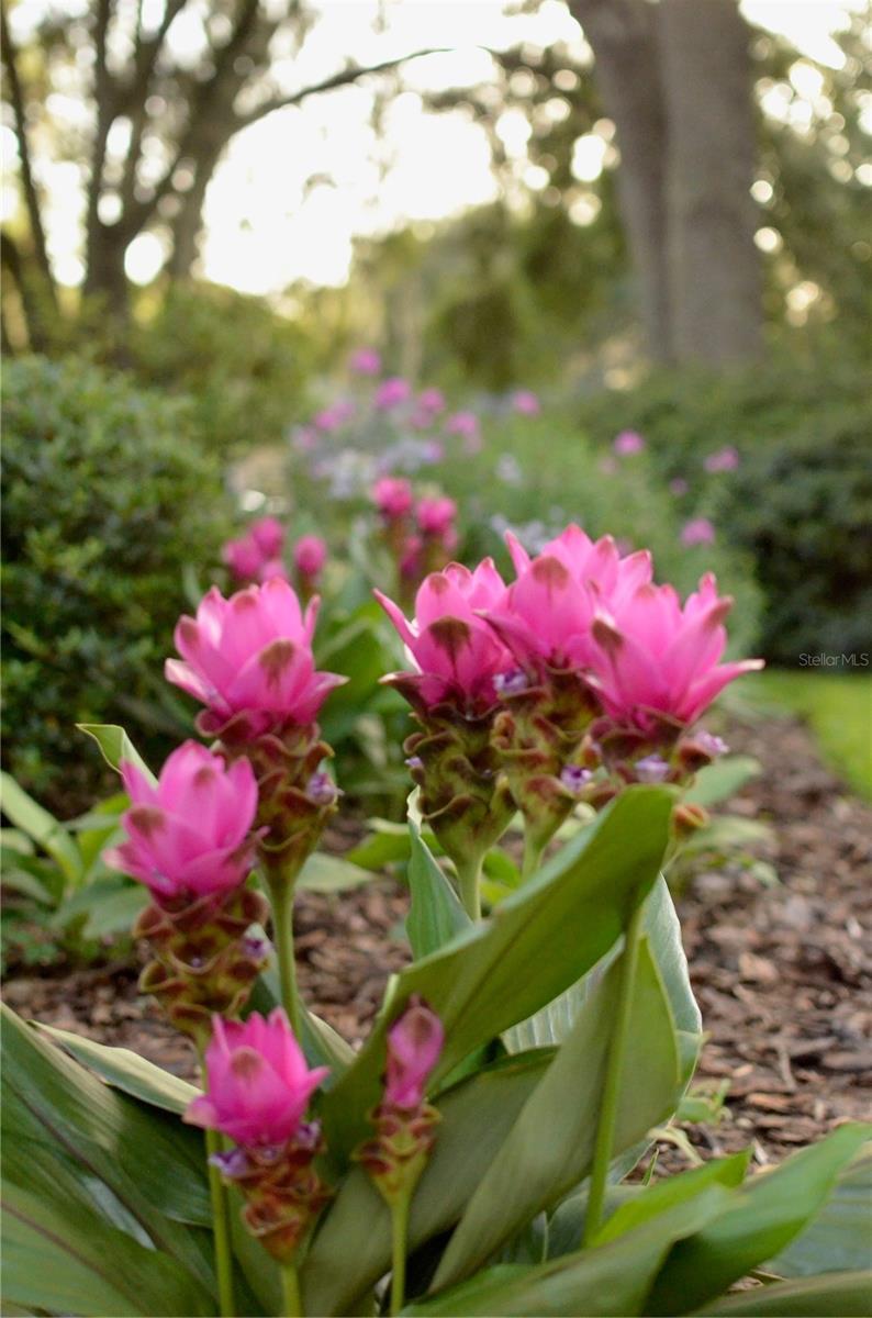 SPLITRAIL - Residential
