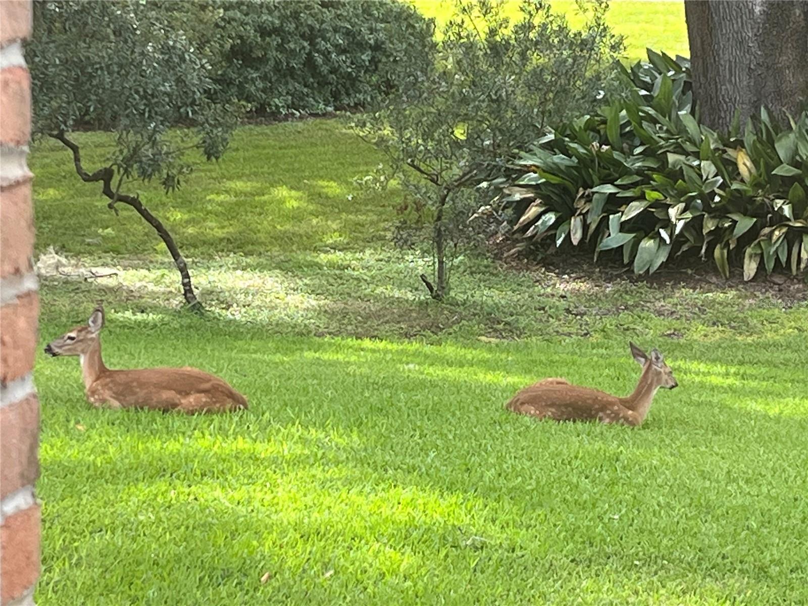 SPLITRAIL - Residential