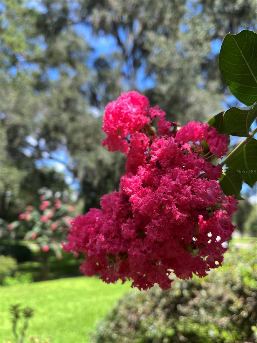 SPLITRAIL - Residential