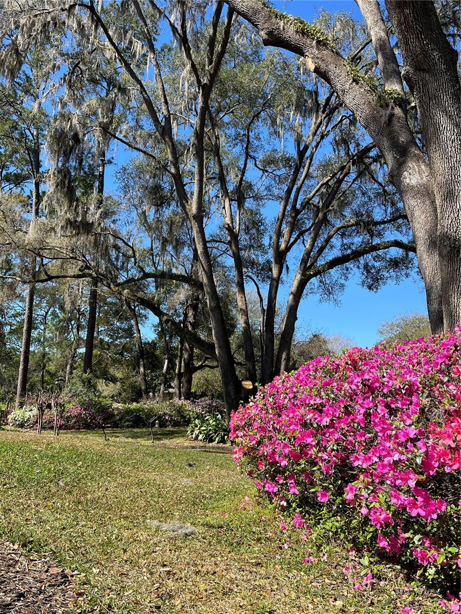 SPLITRAIL - Residential
