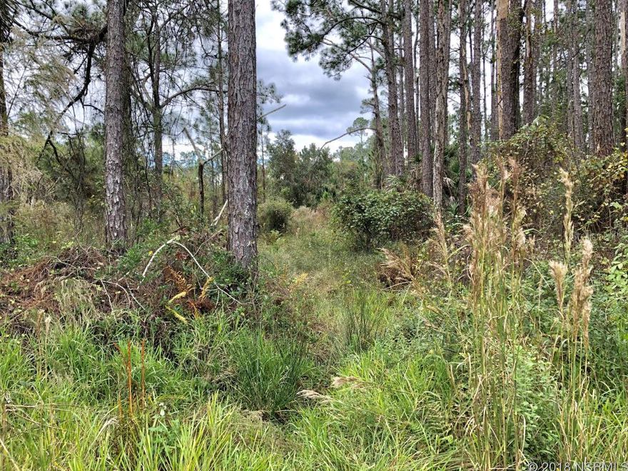 1.25 acres off Ranchette Road.  Vacant land in the country on quiet road.  Thereâs a very old vacant mobile home at the back of the property that the buyer will need to haul away.  Recommendation for buyer to purchase a boundary survey and will need to obtain a non-conforming letter from county since land is less than 5-10 acres.   Vacant land sold as-is. Buyer must do own due diligence.   All information is intended to be accurate, but not guaranteed.; Cleared: No ;Water: Holding Tank