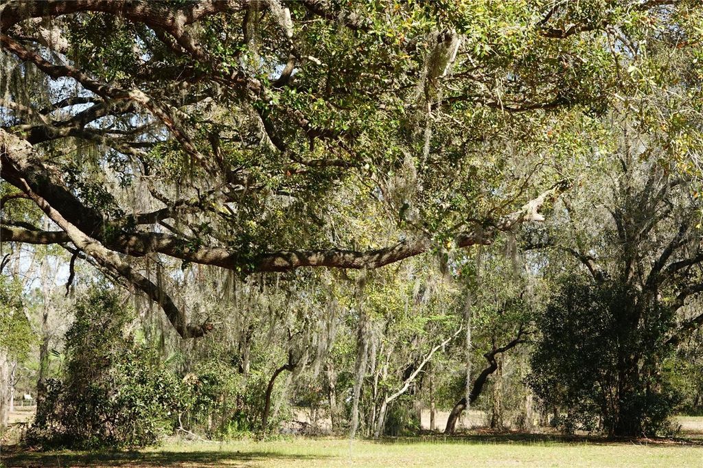 Photo of 22838 Bungalow Lane, Land O Lakes, FL 34639 (MLS # TB8506289)