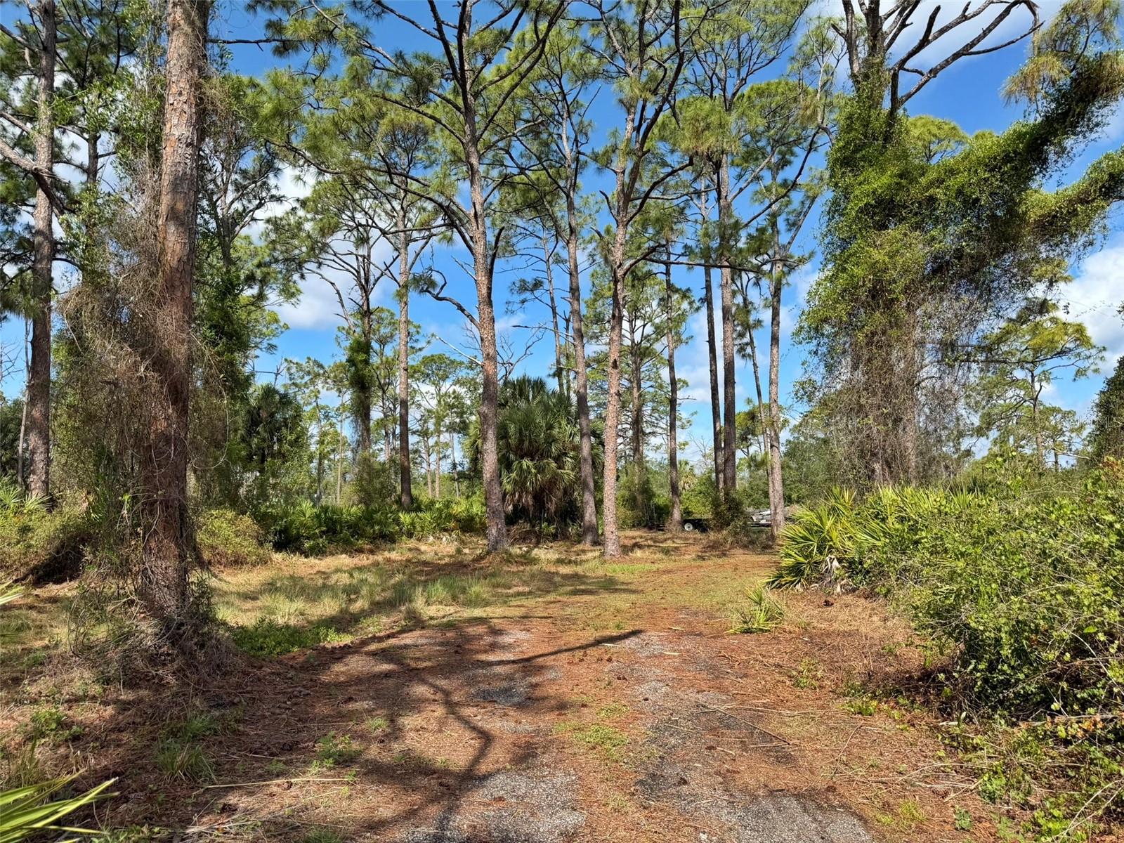 PORT CHARLOTTE - Residential