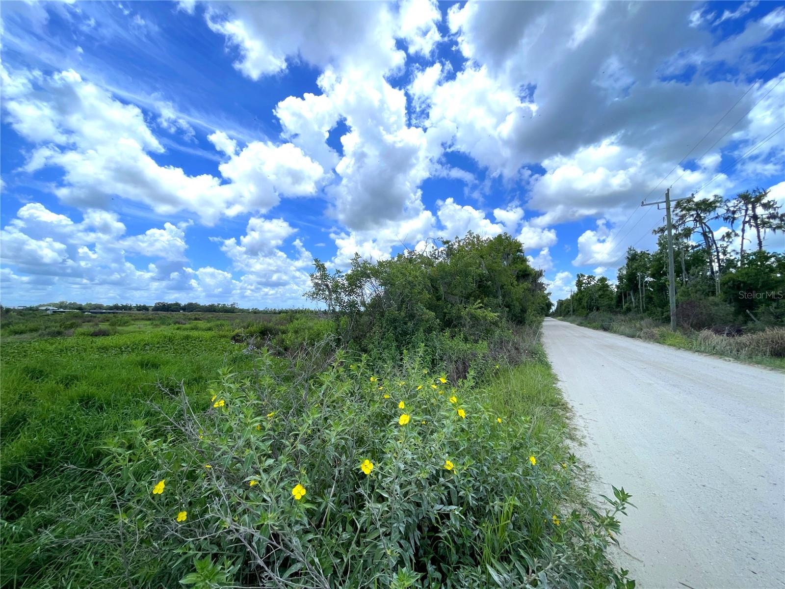 WAUCHULA ROAD