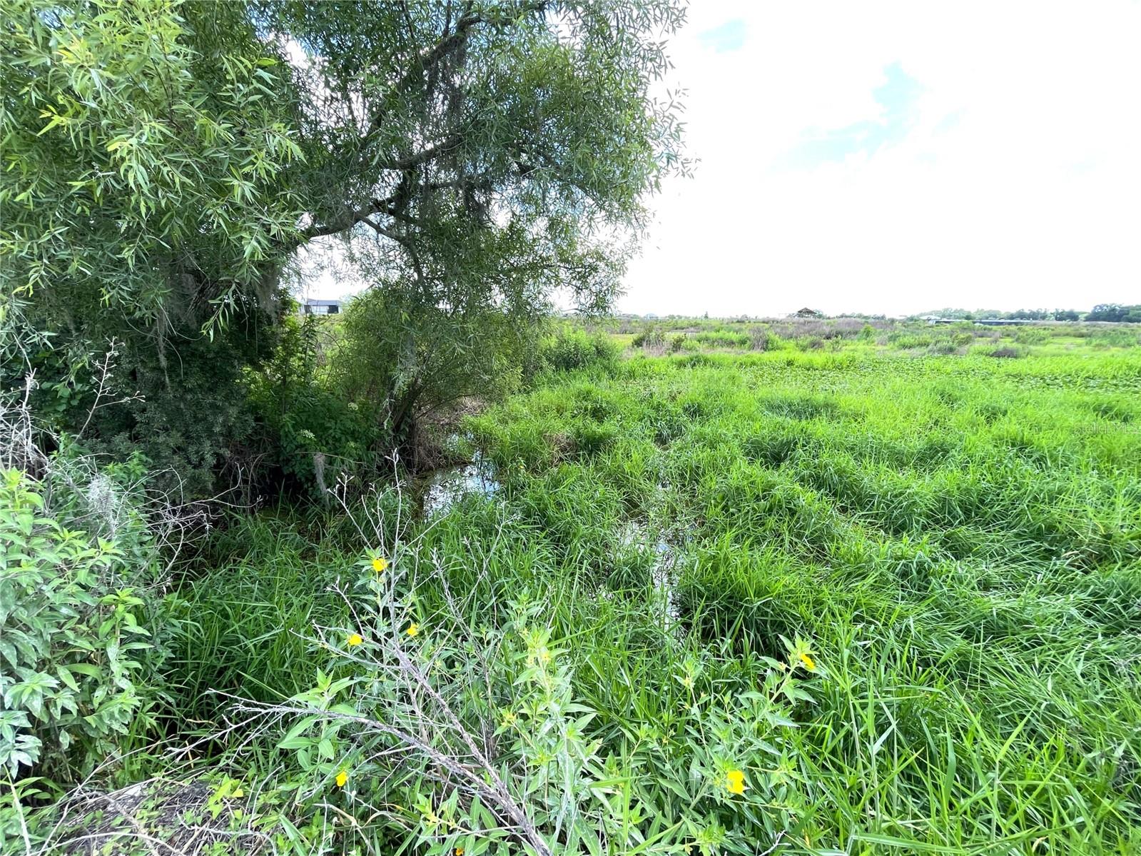 WAUCHULA ROAD