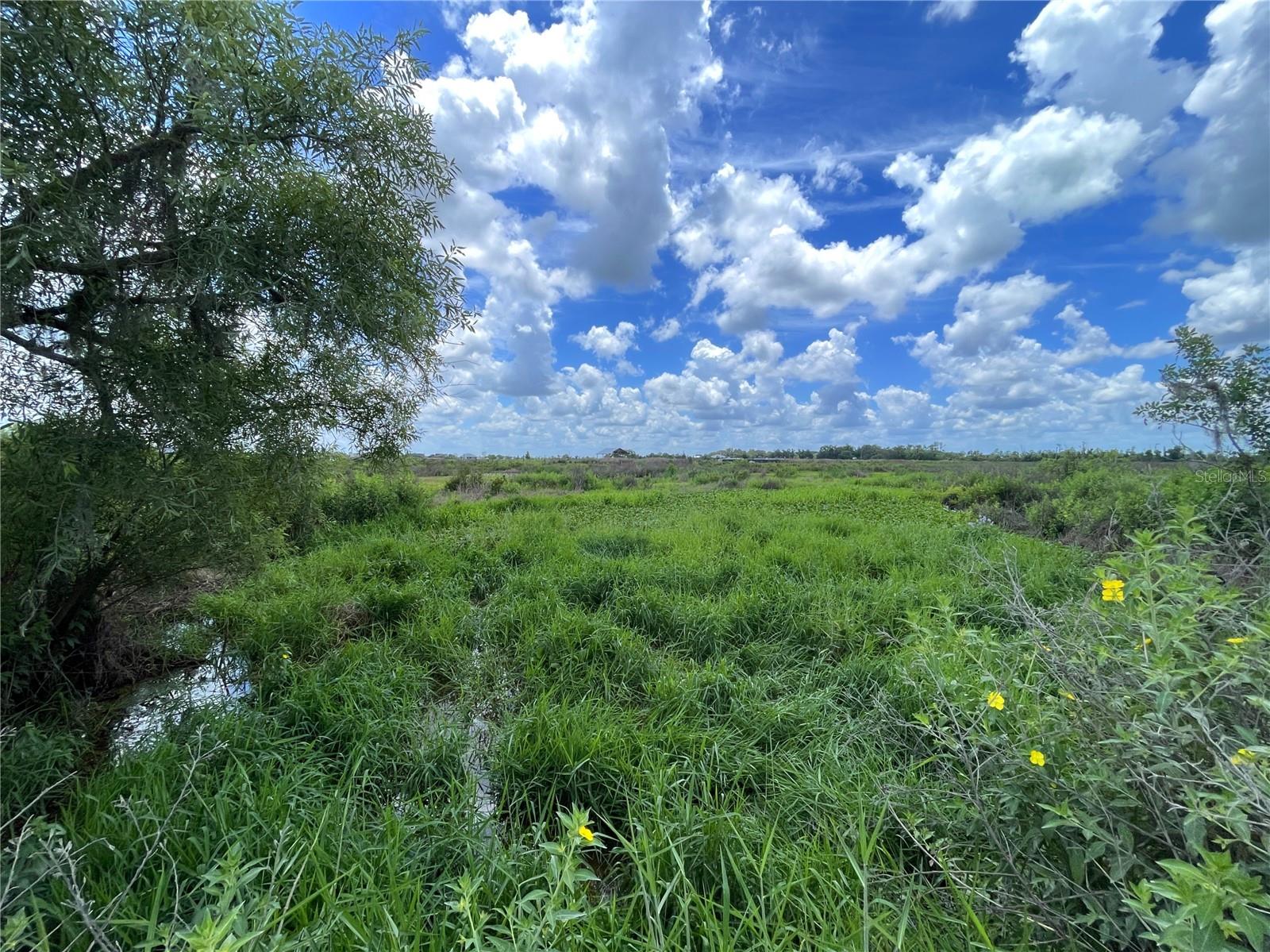 WAUCHULA ROAD