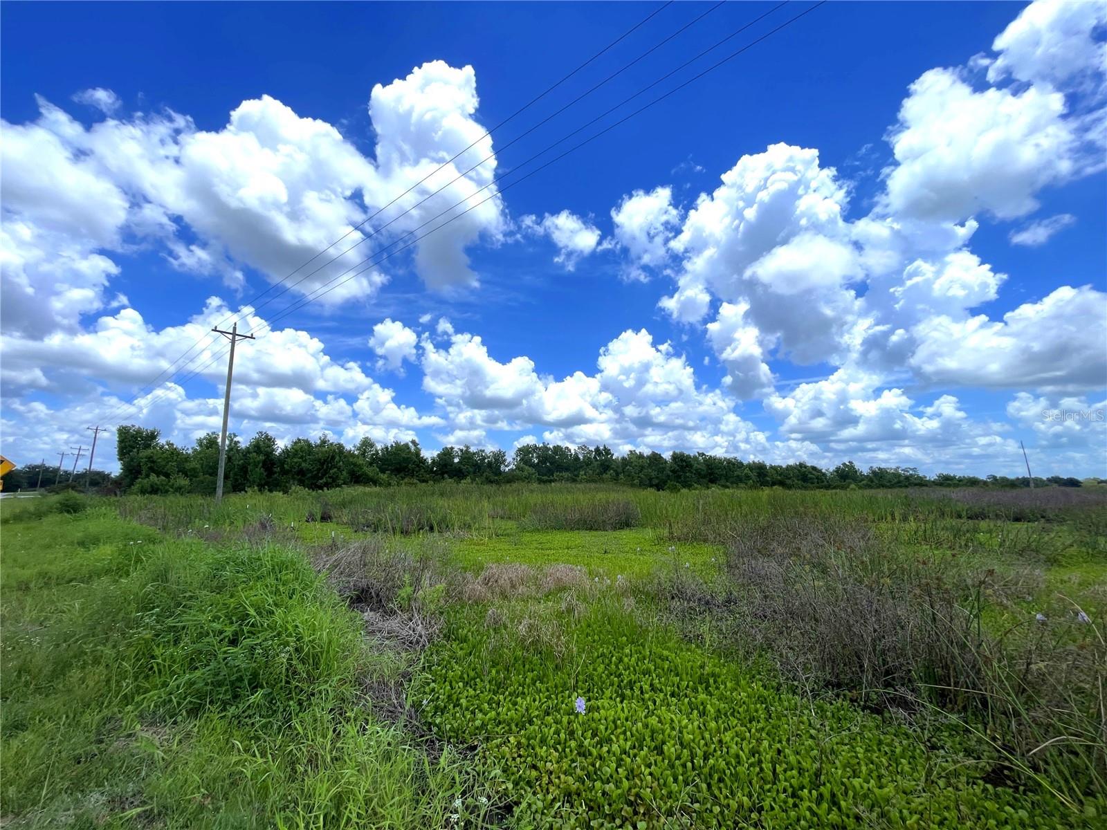 WAUCHULA ROAD