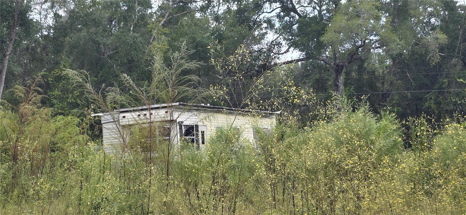 TOBACCO PATCH CAMPSITES - Land