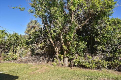 A home in PUNTA GORDA