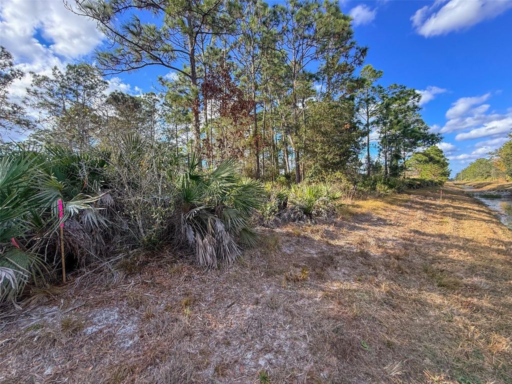 Photo of 4135 Benedict Avenue, Orlando, FL 32833 (MLS # O6376969)