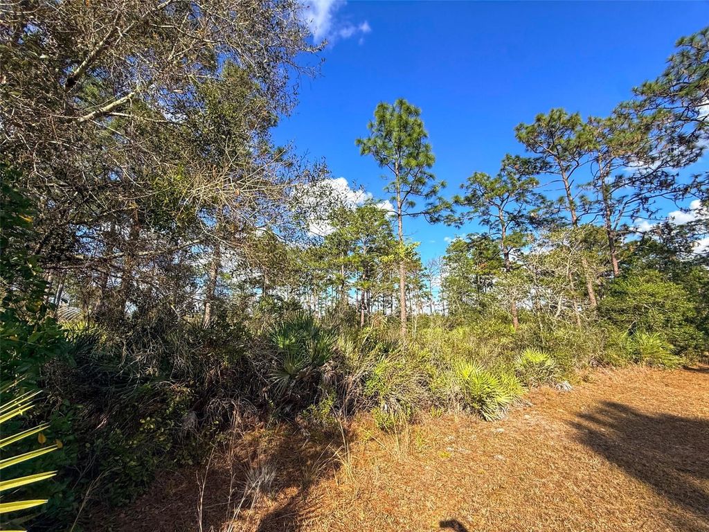 Photo of 4135 Benedict Avenue, Orlando, FL 32833 (MLS # O6376969)