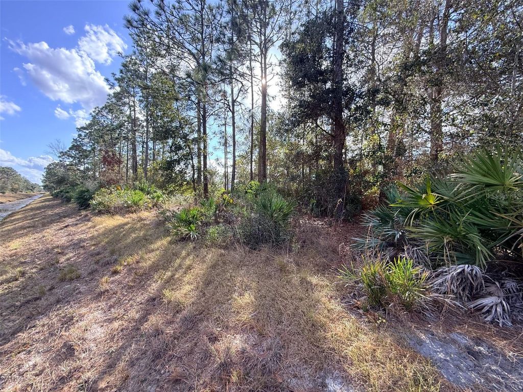 Photo of 4135 Benedict Avenue, Orlando, FL 32833 (MLS # O6376969)