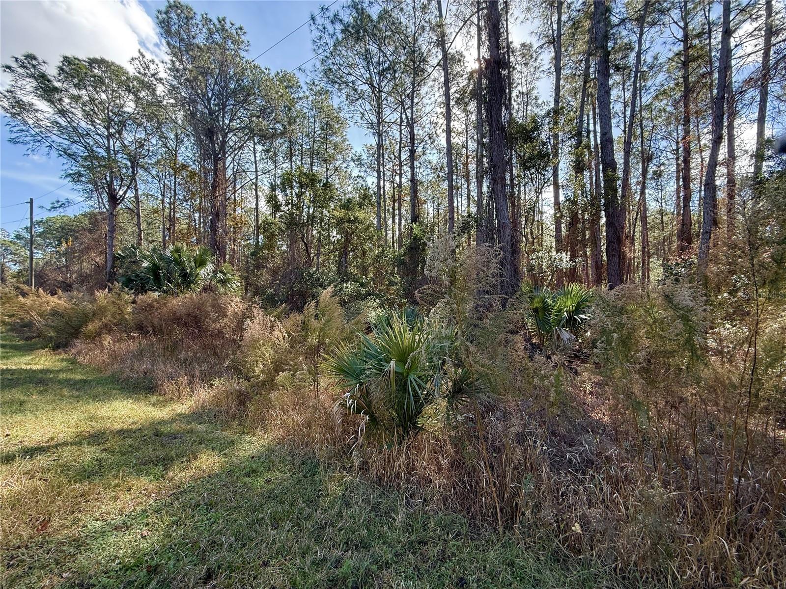 ROYAL TRAILS UNIT 01 - Land