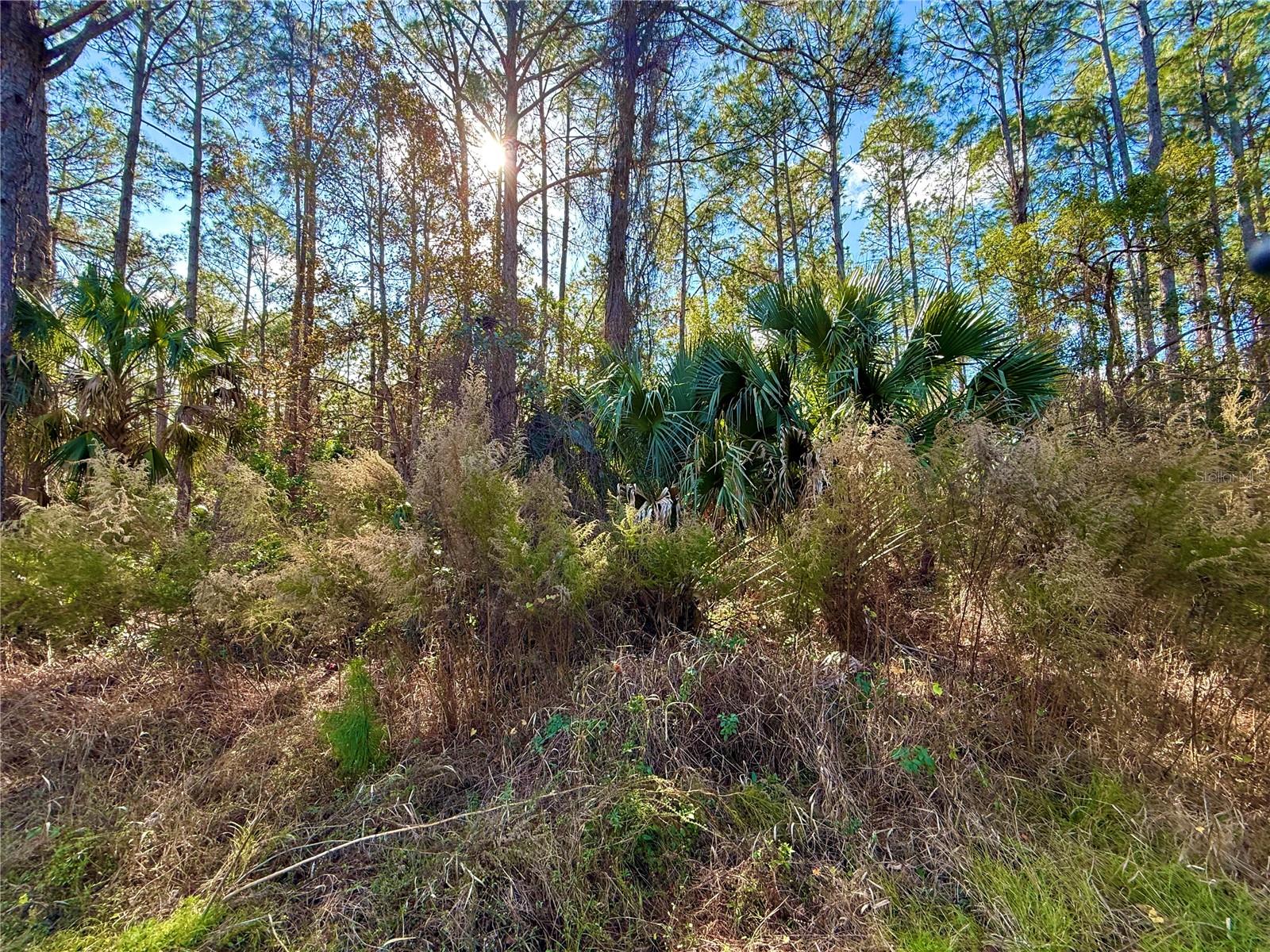 ROYAL TRAILS UNIT 01 - Land