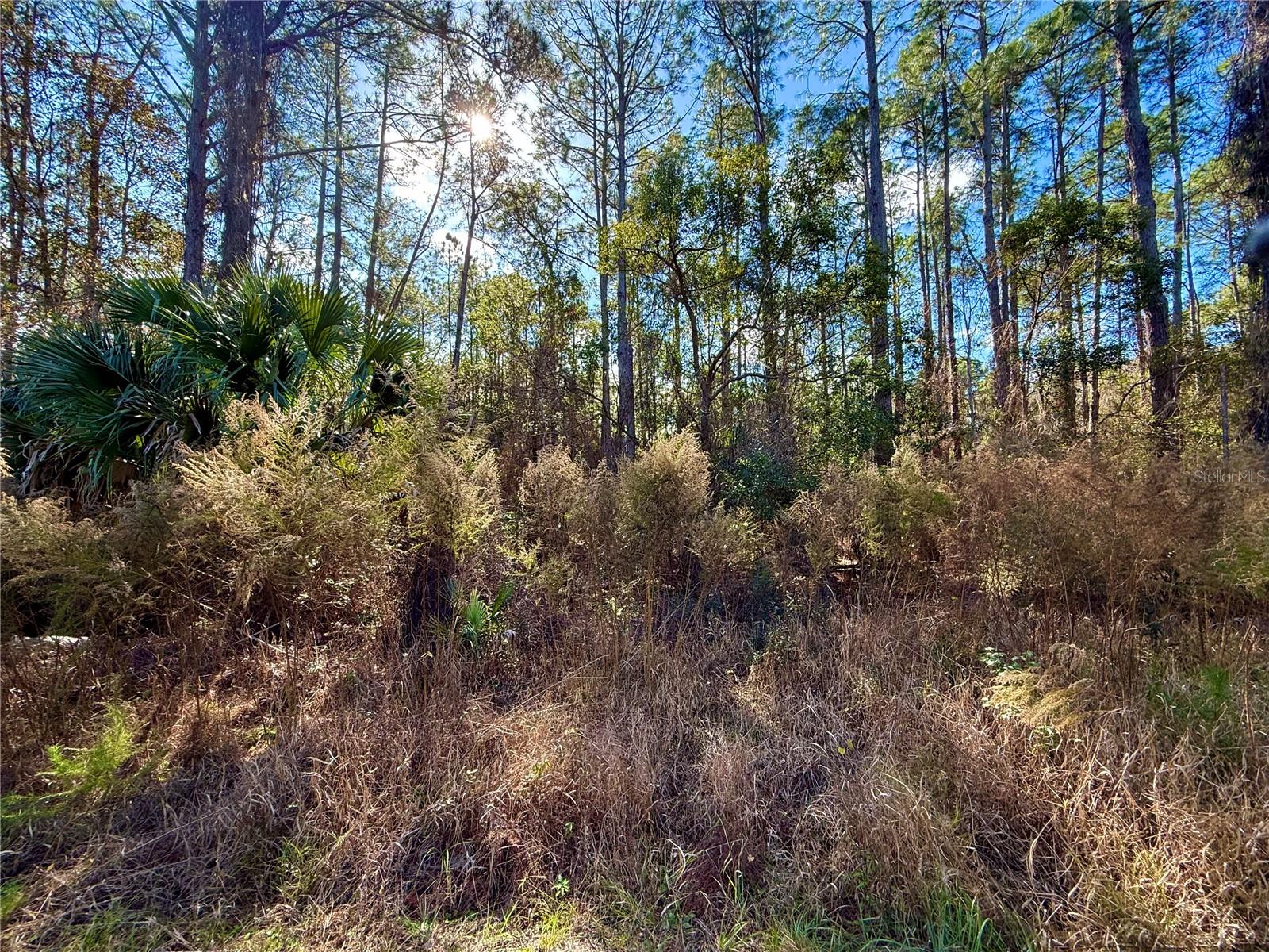 ROYAL TRAILS UNIT 01 - Land