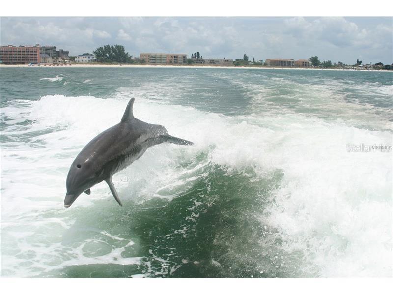 CLEARWATER POINT TENNIS - Residential Lease