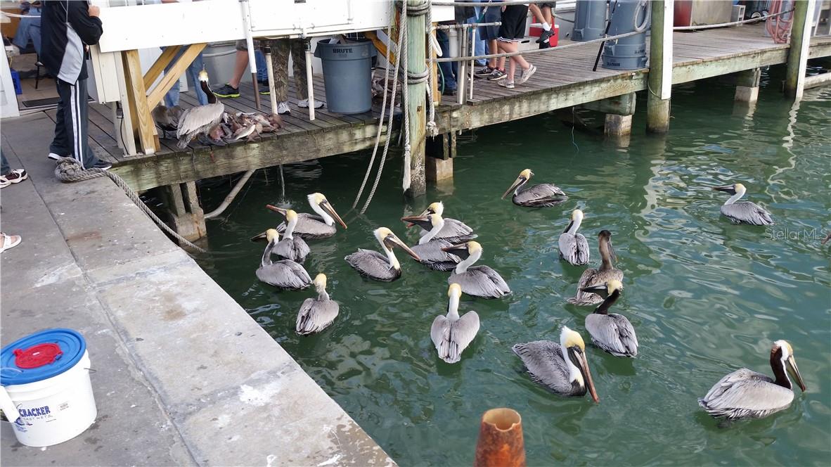 CLEARWATER POINT TENNIS - Residential Lease