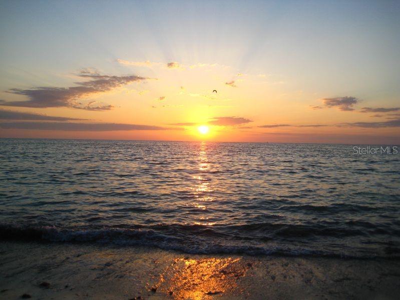 CLEARWATER POINT TENNIS - Residential Lease